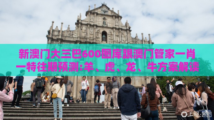 新澳门大三巴600图库跟澳门管家一肖一特往期预测:羊、虎、龙、牛方案解读、解释与落实,抵制虚假渲染术