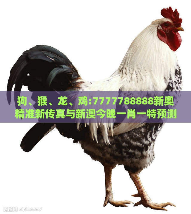 狗、猴、龙、鸡:7777788888新奥精准新传真与新澳今晚一肖一特预测和-系统解答、专家解析解释与落实​,留心欺诈套路